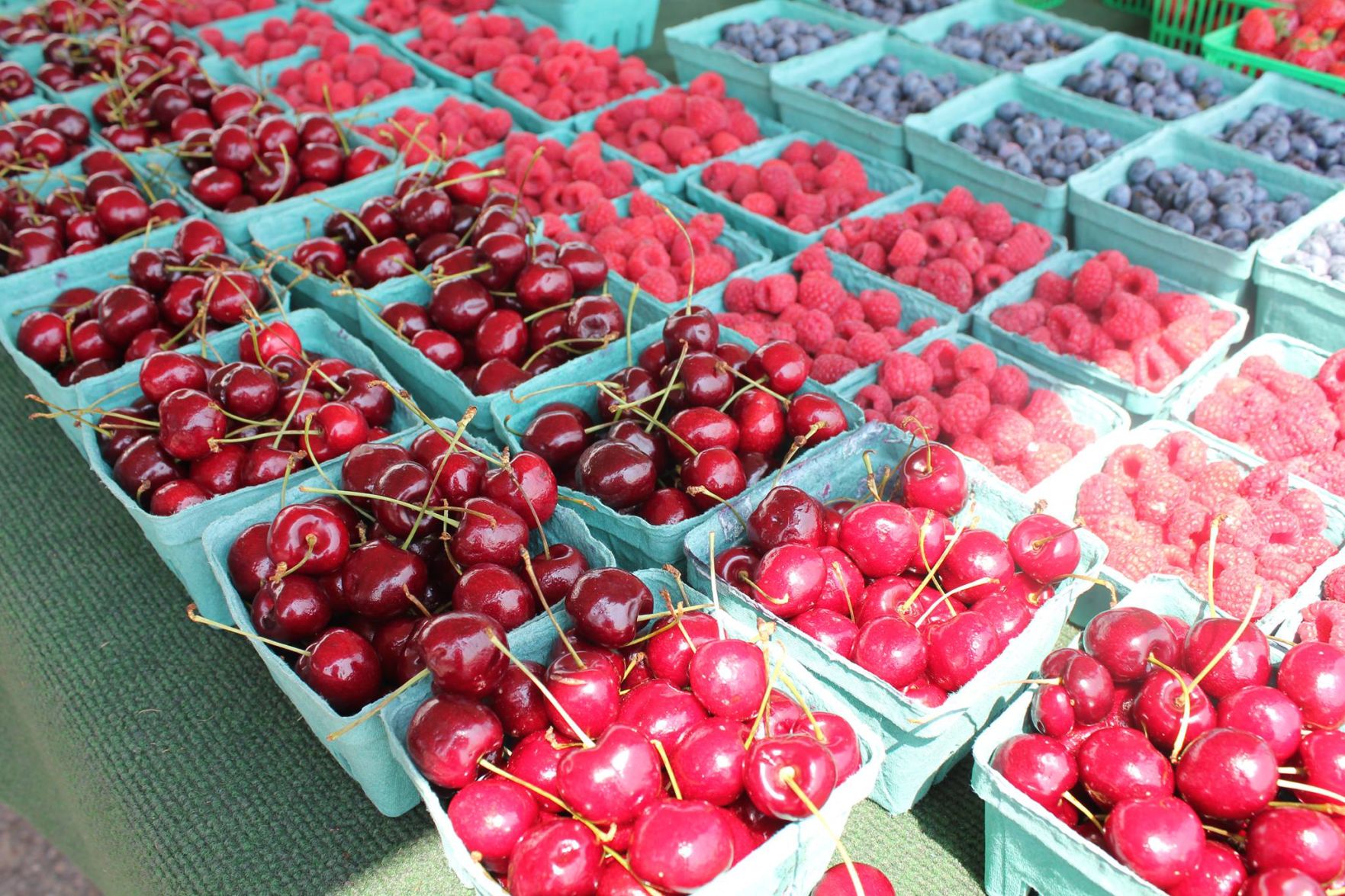 MS — Masonville Farmers' Market